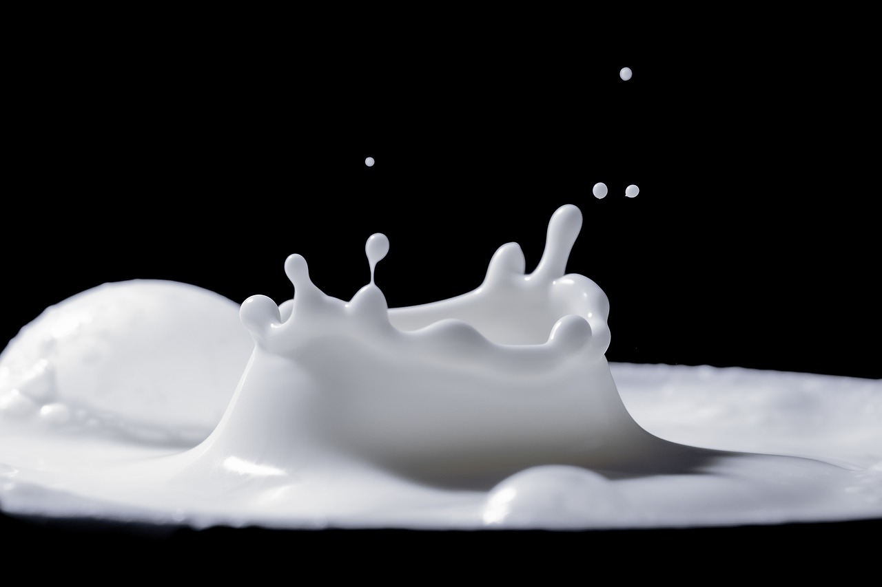 超15万人13年随访研究：到底牛奶、奶酪、酸奶和食管癌发生有关系吗？答案在这！