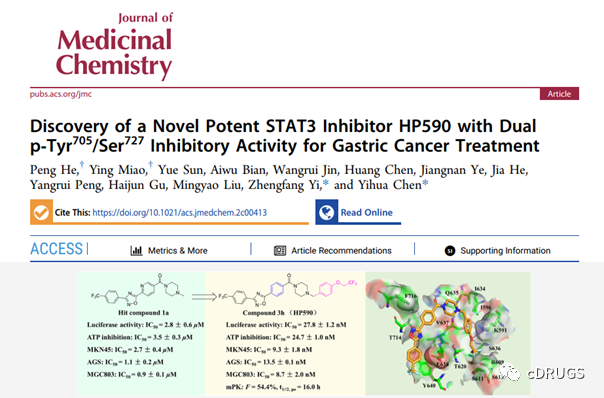 JMC：新型STAT3抑制剂HP590，口服对胃癌有效