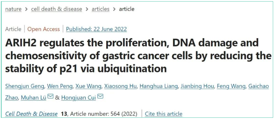西南大学崔红娟教授团队发现促进胃癌增殖新机制！
