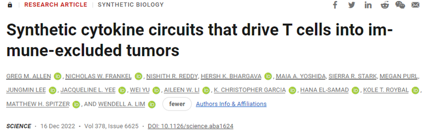 Science：合成IL-2回路促进CAR-T细胞浸润免疫抑制性的实体瘤