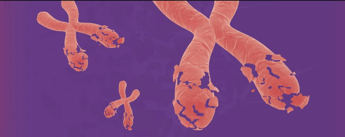 illustration of chromosomes crumbling apart