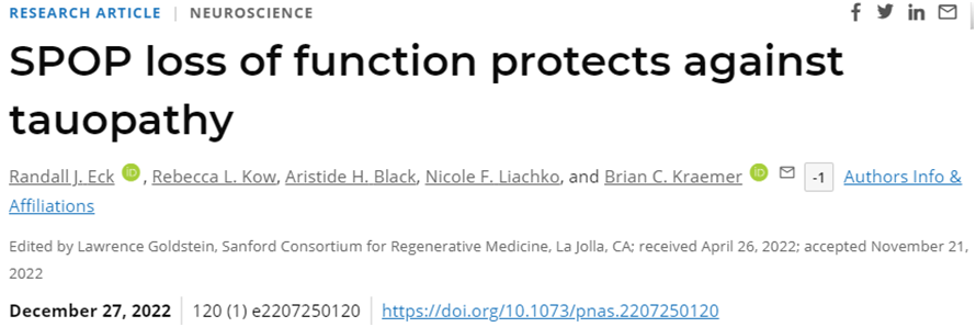 PNAS：靶向SPOP蛋白有望阻止包括阿尔茨海默病在内的tau蛋白病