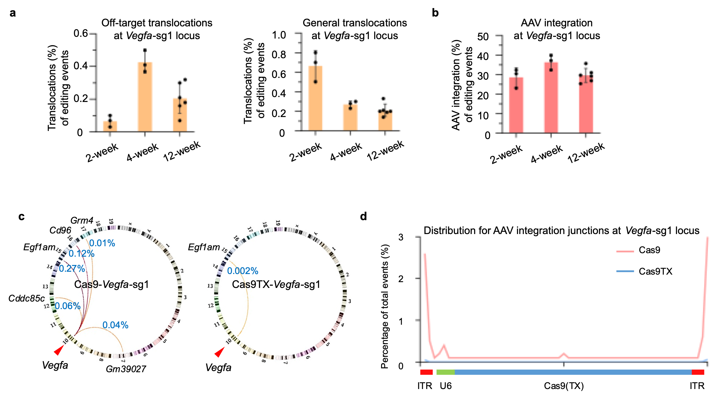 Nature Communications:利用Cas9TX在年龄性黄斑病变小鼠模型中实现高效且安全的基因编辑