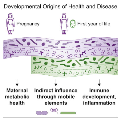 Cell：首次发现母亲和婴儿机体肠道微生物组之间或许存在水平基因转移现象