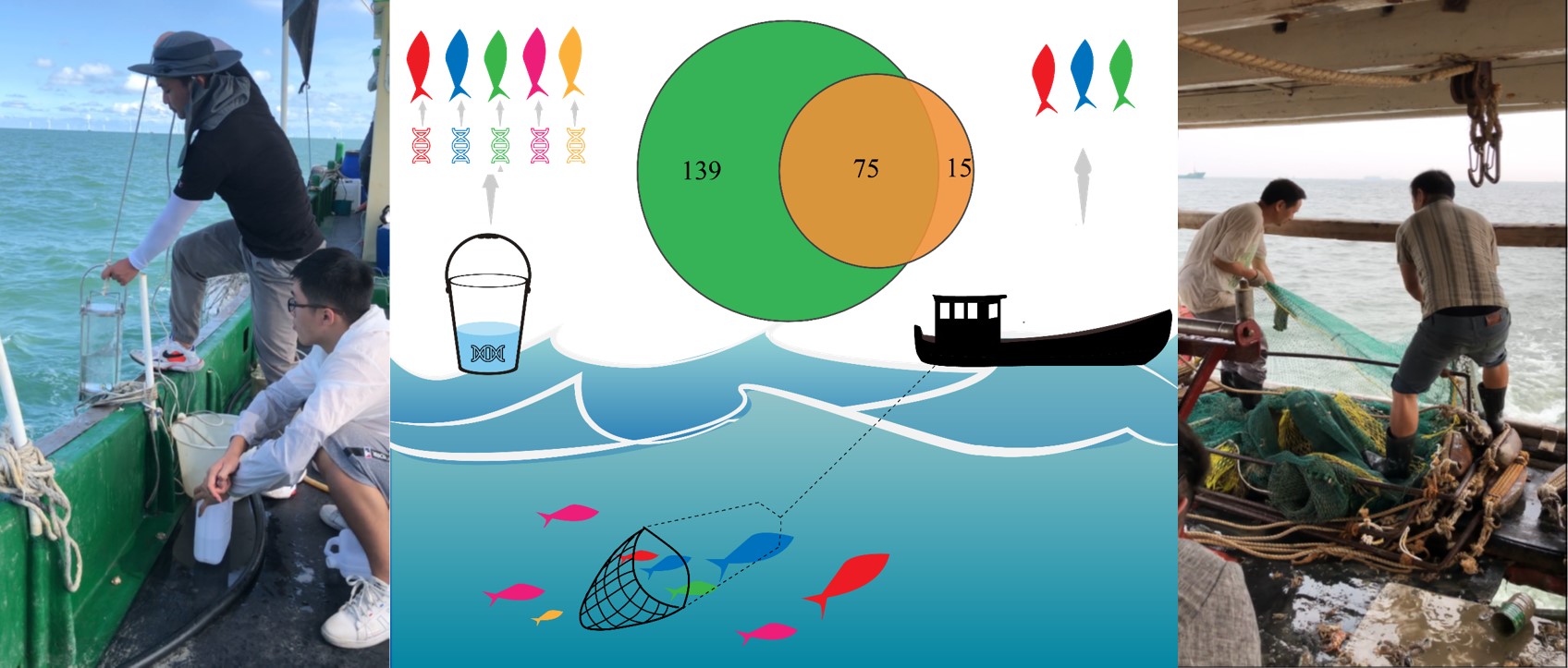 基于环境DNA技术解析河口鱼类群落时空差异研究取得新进展