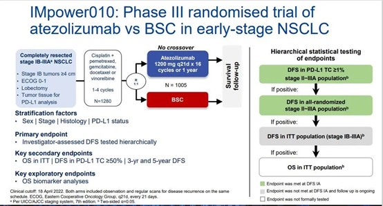 IMpower010研究生存数据首次公布，夯实阿替利珠单抗为标准辅助治疗方案！| WCLC 2022速递