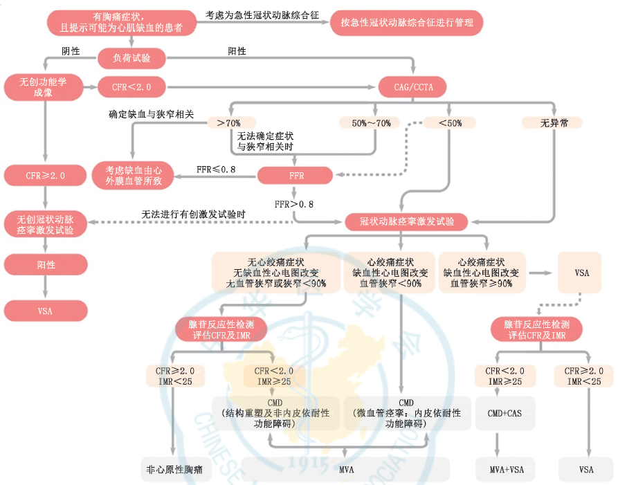 INOCA管理，最新中国专家共识划重点