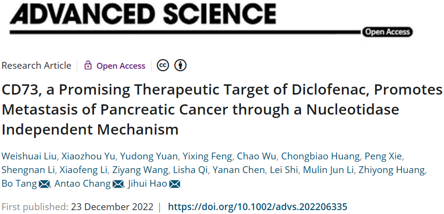 Advanced Science | 天津医科大学郝继辉等团队合作发现CD73通过非核苷酸酶依赖性机制促进胰腺癌的转移