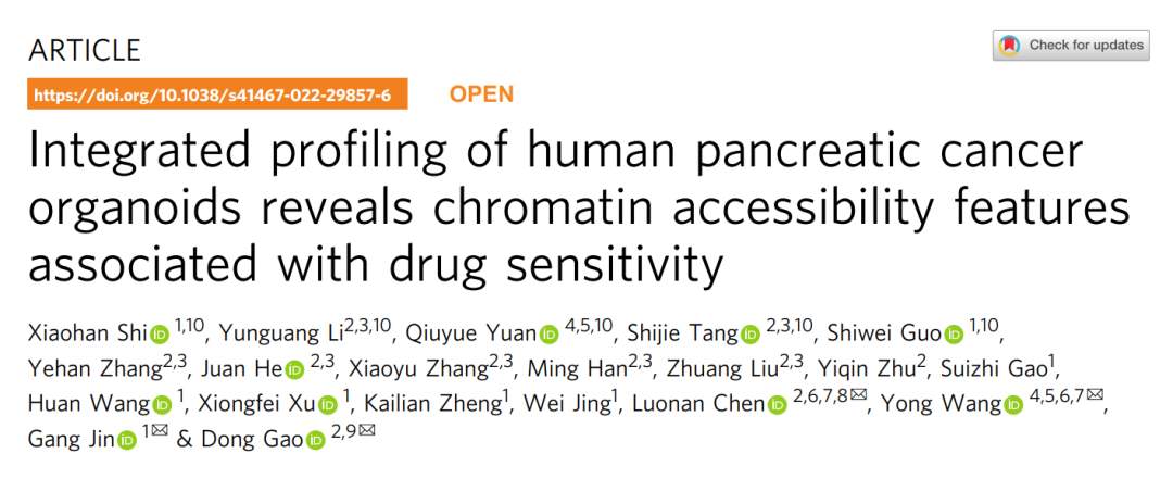Nature子刊：利用类器官，高栋团队等揭开胰腺癌染色质开放性特征