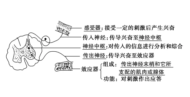 连发Cell、Nature改写教科书！哈佛研究挑战了“触觉反射回路”