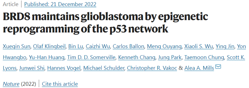 Nature：揭示胶质母细胞瘤背后的秘密，有望开发出更好的疗法