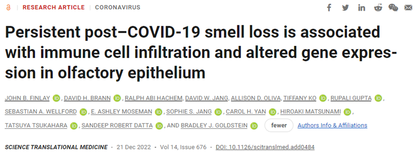 Science子刊：揭示一部分感染SARS-CoV-2的人长期丧失嗅觉的关键原因