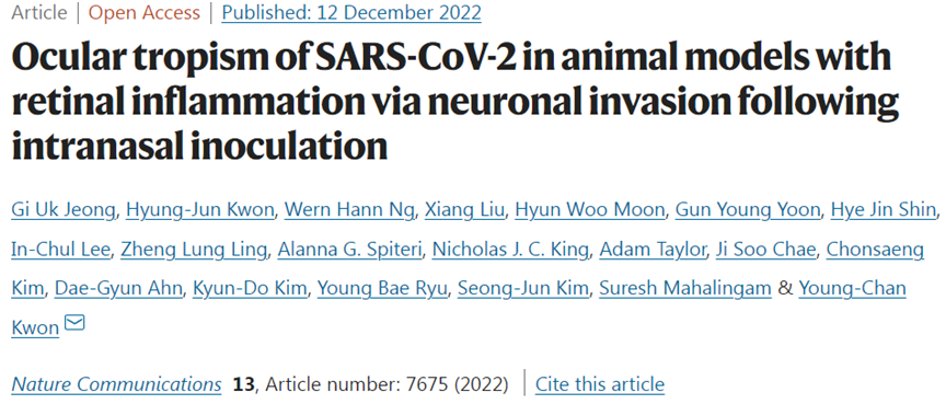 Nat Commun：动物研究揭示新冠病毒可以感染眼睛