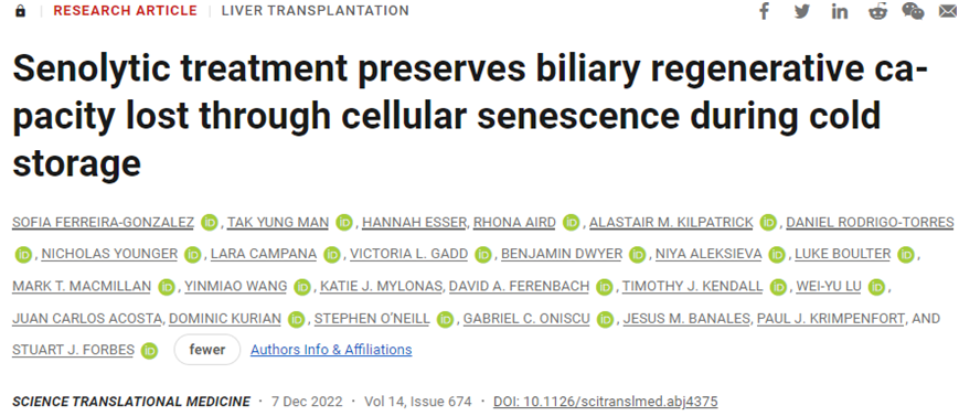 Science子刊：新研究表明senolytics药物有望提高肝脏移植的成功率