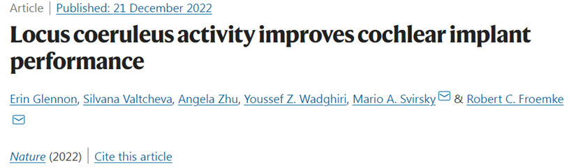 Nature：刺激大脑中的蓝斑核有望改善人工耳蜗使用者恢复听力的效率