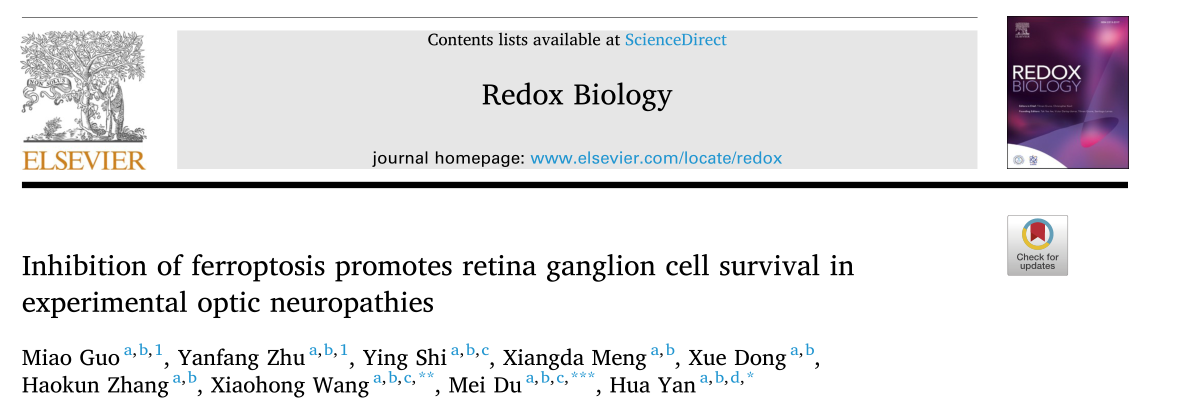 Redox Biology: 抑制铁死亡促进实验性视神经病变视网膜神经节细胞存活