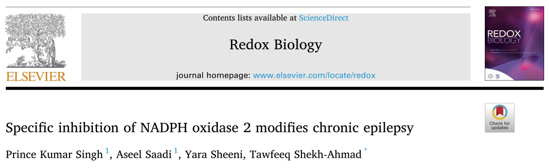 Redox Biology：特异性抑制NADPH氧化酶2修饰慢性癫痫