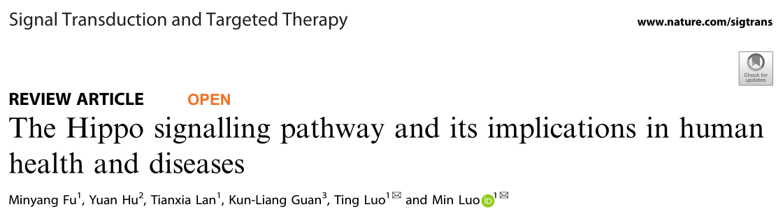 Signal Transduction and Targeted Therapy: Hippo信号通路及其在人类健康和疾病中的意义