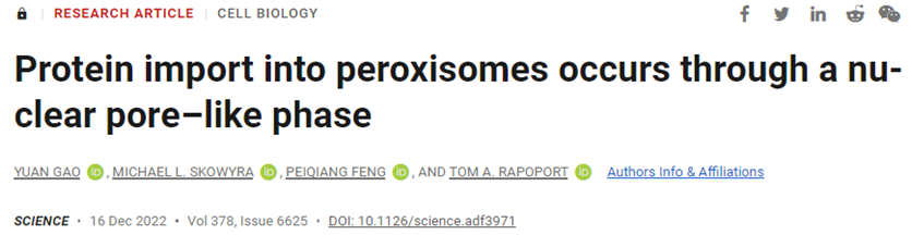 Science：揭示过氧化物酶体蛋白输入机制