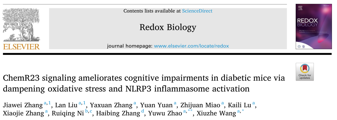 Redox Biology : ChemR23信号可以改善糖尿病小鼠的认知功能障碍