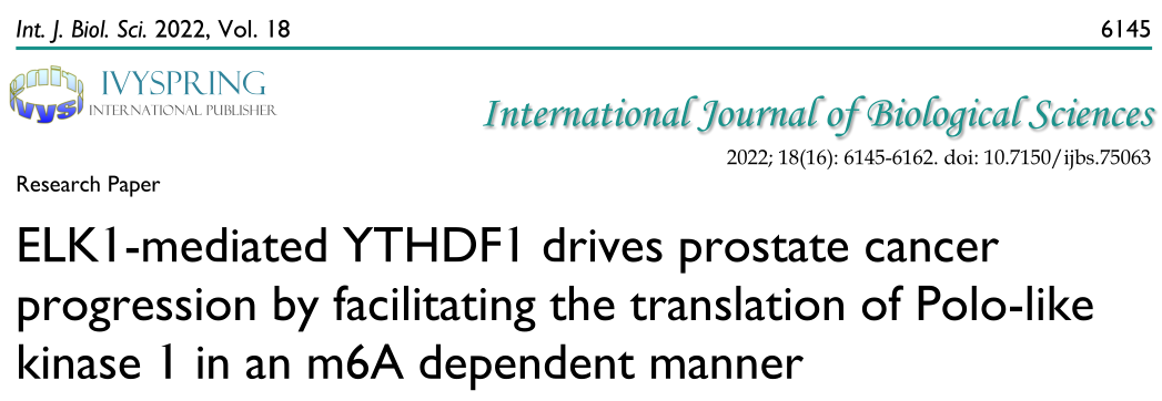 Int. J. Biol. Sci: ELK1/YTHDF1/PLK1/PI3K/AKT轴可能成为前列腺癌治疗的潜在靶点