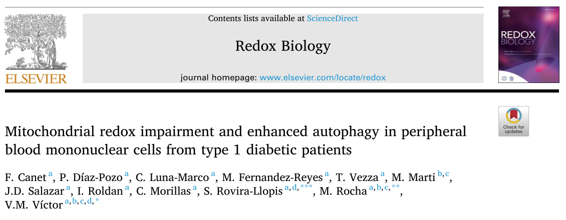 Redox Biology : I型糖尿病损害了线粒体的功能，促进了白细胞的氧化应激和自噬