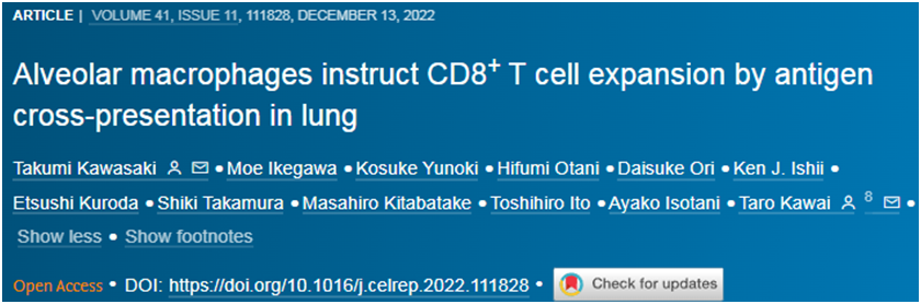Cell子刊：肺泡巨噬细胞通过抗原交叉呈递在肺部中诱导CD8+ T细胞扩增