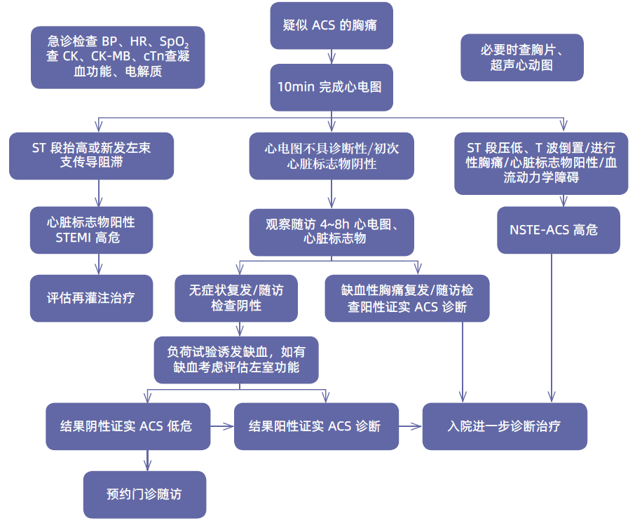 老年冠心病患者该如何诊疗？多学科诊疗共识给出解答