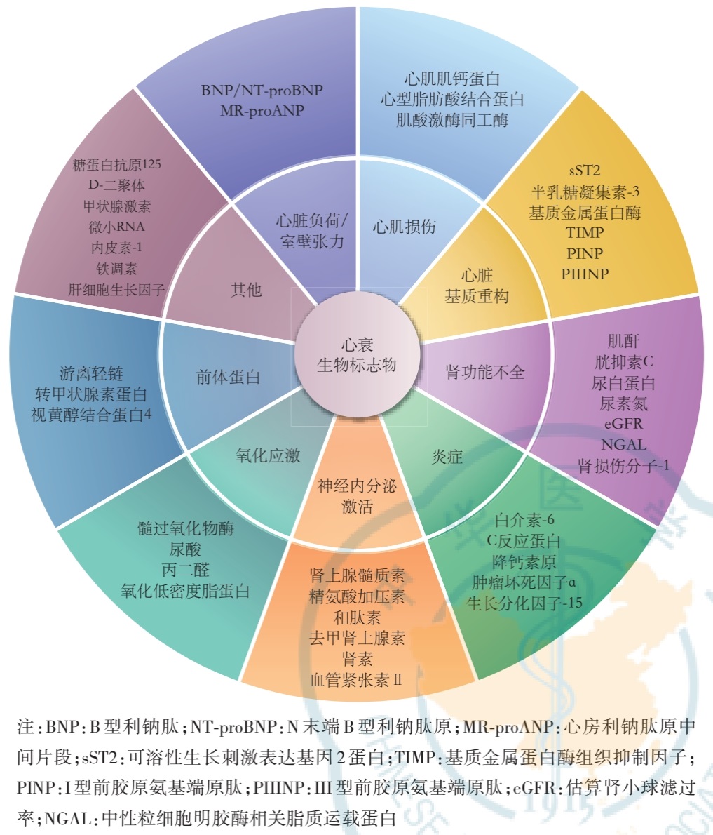 只知道利钠肽就OUT了，图表总结8类心衰标志物的应用要点