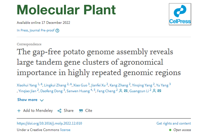 马铃薯基因组完成图揭示复杂区域中存在重要农艺性状相关的高度串联复制基因簇
